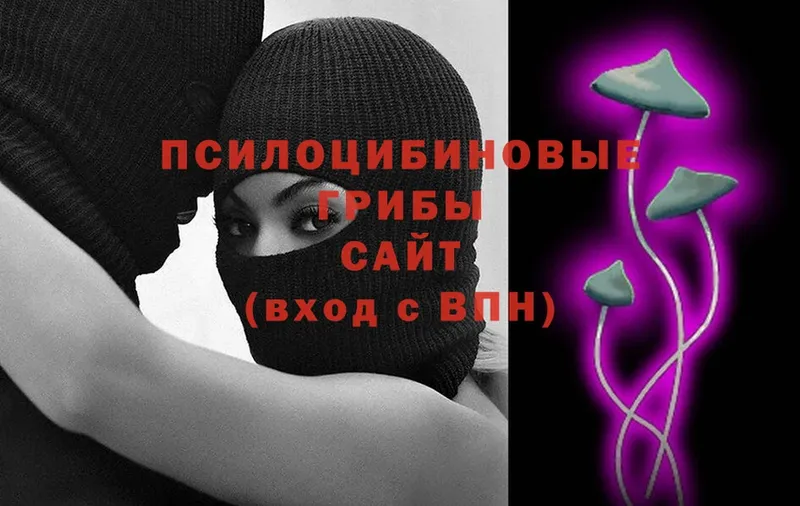 Галлюциногенные грибы Psilocybe  Нязепетровск 